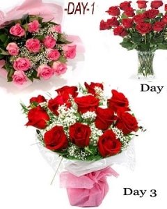 THREE Days Celebration