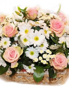 Speed &acirc;&euro;&lsaquo;&acirc;&euro;&lsaquo;Love