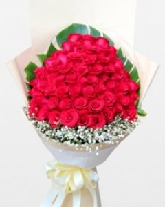 48 Red Roses