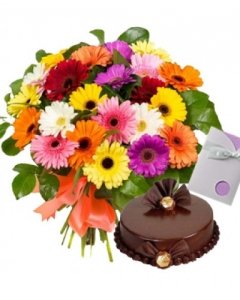 20 mix colour gerberas with cake