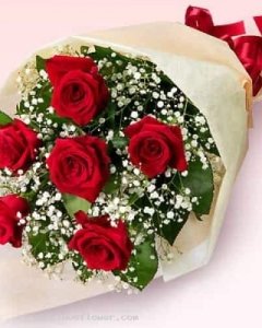 6 holland red roses bunch w/statice