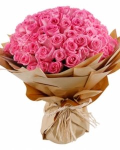 101 Pink ROSES